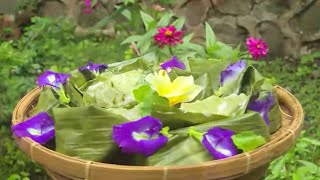 Download lagu OLAHAN DAUN PEGAGAN | JEJAK SI GUNDUL (13/11/21) mp3