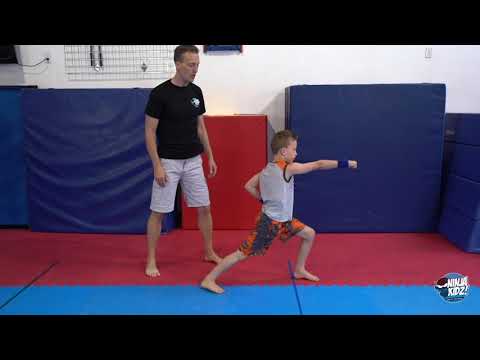 How to do a Front stance and Reverse Punch Like the NINJa KIDZ!