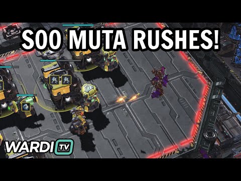SOO'S MUTA RUSH! - soO vs SpeCial (ZvT) - King of Battles 3 Qualifiers [StarCraft 2]