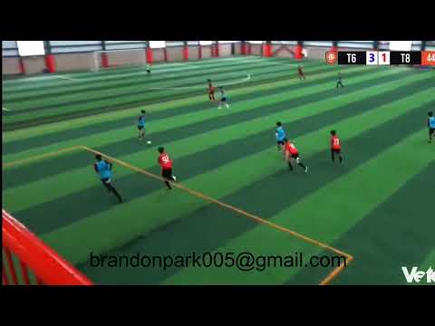 Brandon Park Highlight Video