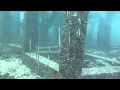 Phuket Tauchen: Westküste Kamala Surin Bangtao - Schnepfenmesserfisch, Koh Waeo,Phuket Bang Tao Beach,Thailand