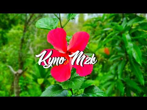 Dj Sk - Grand Bain {REMIX KOMPA 2021}