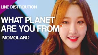 Momoland - What Planet Are You From (Line Distribution)