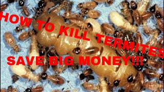 How to Kill Termites Do it Yourself and SAVE BIG MONEY!!!