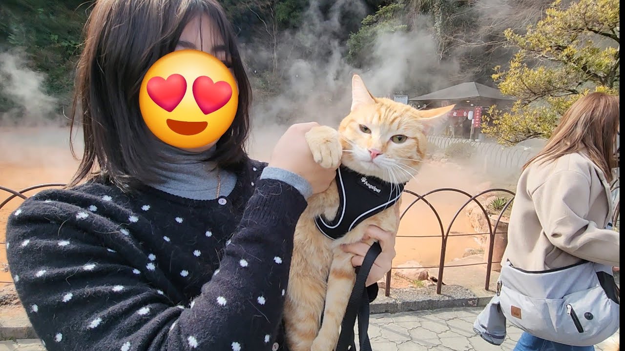 うりくまる家 がライブ配信中！