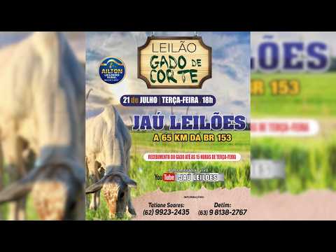 LEILÃO GADO DE CORTE  - JAU LEILÕES  - JAU DO TOCANTINS  - 21 / 07 / 2026
