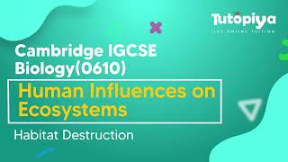 Habitat Destruction