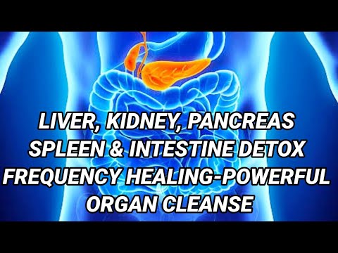 🎧Liver,Kidney,Pancreas,Spleen & Intestine Detox Frequency Healing-Extremely Powerful Organ Cleanse