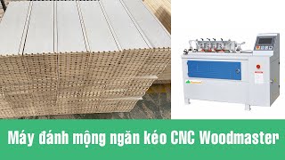 Máy làm mộng hộc kéo, ngăn kéo cnc Woodmaster