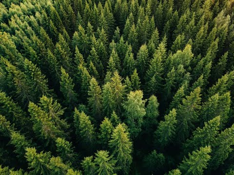 Medición del gasto público en cambio climático