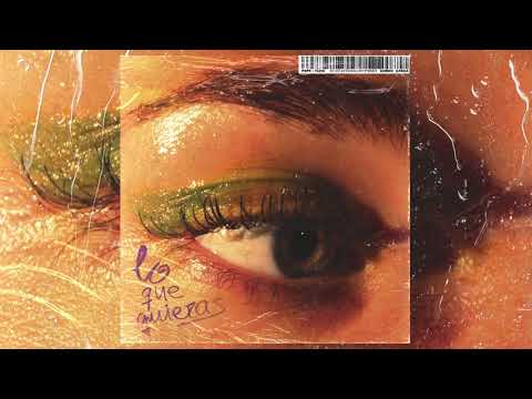 Pepe y Vizio - Lo Que Quieras feat. Gordo Brega (Audio Oficial)