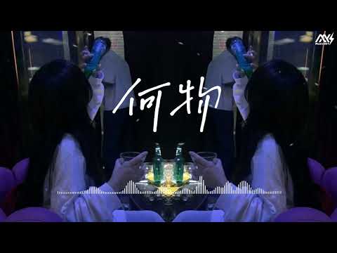 何物 - 歪歪超/Lancelot_兰斯洛 🗲DJ REMIX🗲『我白天是个搞笑废物，夜晚变成忧伤怪物 撕扯着孤独。』【動態歌詞Lyrics】