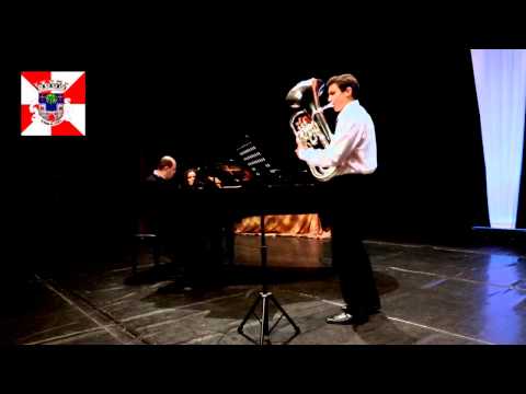 Pedro Silva - Concerto de Laureados  2013