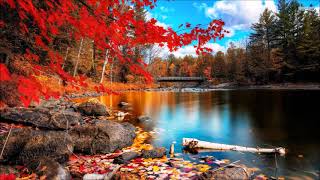 FREE 2 MOVE - ODYSSEY MEDLEY SARABANDA (EURO EDIT) DREAM PROGRESSIVE 2002