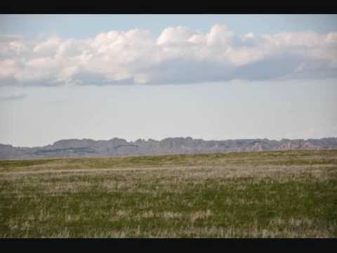 The Second coming Of Buffalo Runner.