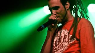 Swan fyahbwoy Por si querias aprender