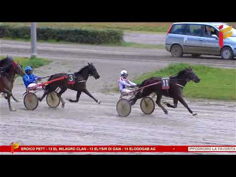 II Corsa del 4 Marzo 2023 - 3 Anni - Metri 1600