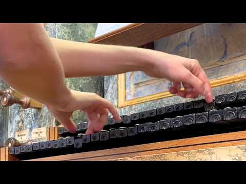 J.S. BACH - Toccata & Fugue in d minor, BWV 565 (Anne-Isabelle de Parcevaux, organ)