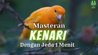 Download lagu MASTERAN KENARI GACOR FULL TEMBAKAN DENGAN JEDA 1 MENIT mp3 Download lagu MASTERAN KENARI GACOR FULL TEMBAKAN DENGAN JEDA 1 MENIT mp3
