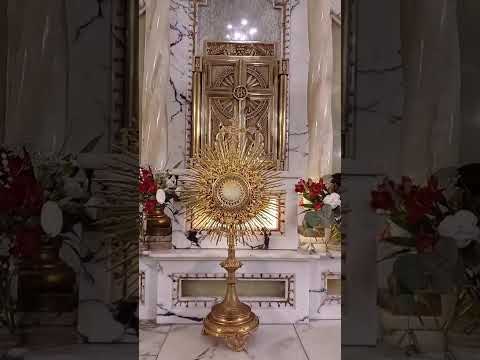 Adoración al Santísimo Sacramento del Altar con el Padre Fabian Esteban Oliva. 06/06/26
