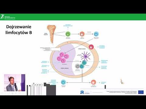 13. Tydzień Mózgu w Poznaniu - 17.03.2022 r. 17.00