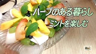 ミントを楽しむ、夏の終わり|ハーブのある暮らし|ドイツ暮らし