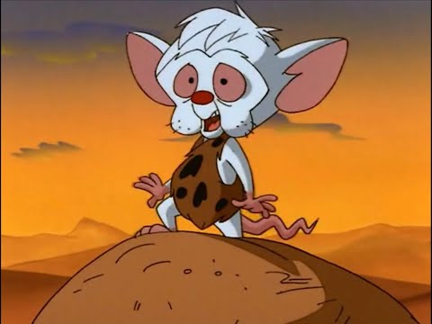 the brain being a softy for 34 minutes (part one)