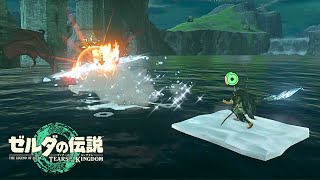 残心の太刀を極めたリンクのグリオーク討伐【ゼルダの伝説 ティアーズ オブ ザ キングダム】
