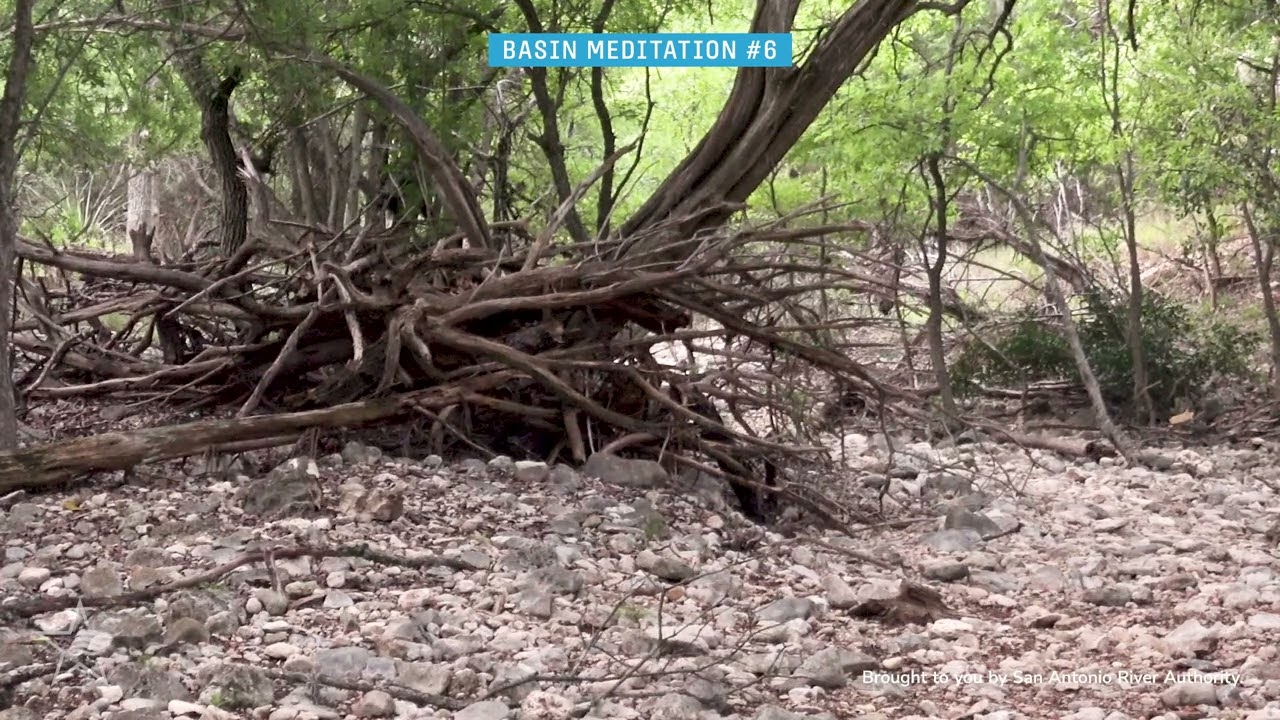 Nature Sounds and Scenery at Huesta Creek - San Antonio Basin Meditation