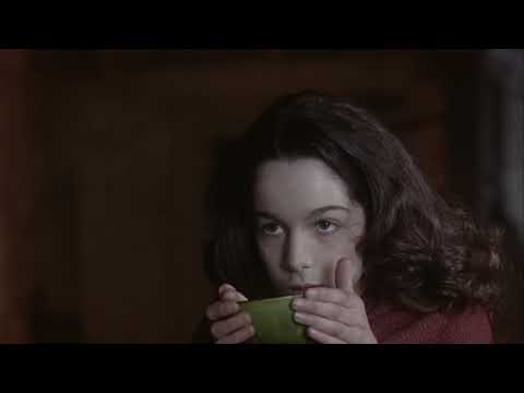 Emily Bronte's Wuthering Heights