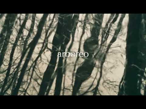 Peter J. Malmsjö - A Whirling Leaf [Piano Music, Relaxing Music]