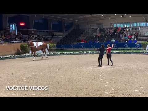CHIO Aachen 2021 - Hannah Steverding GER - Technik