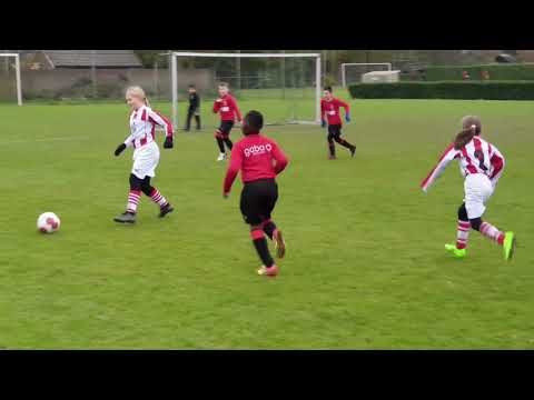 AVW 66 - Rijnland 23-11-2019