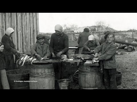 Maršrutas nr. 42 - Palanga ir Šventoji