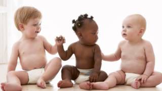 Transmigração progressiva - Livro dos Espiritos