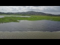 Nile Monitor Lizard