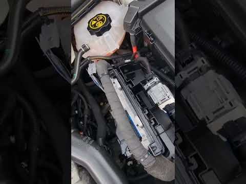 Opel Astra K 2016 1.6 CDTI Cold Start Chain noise