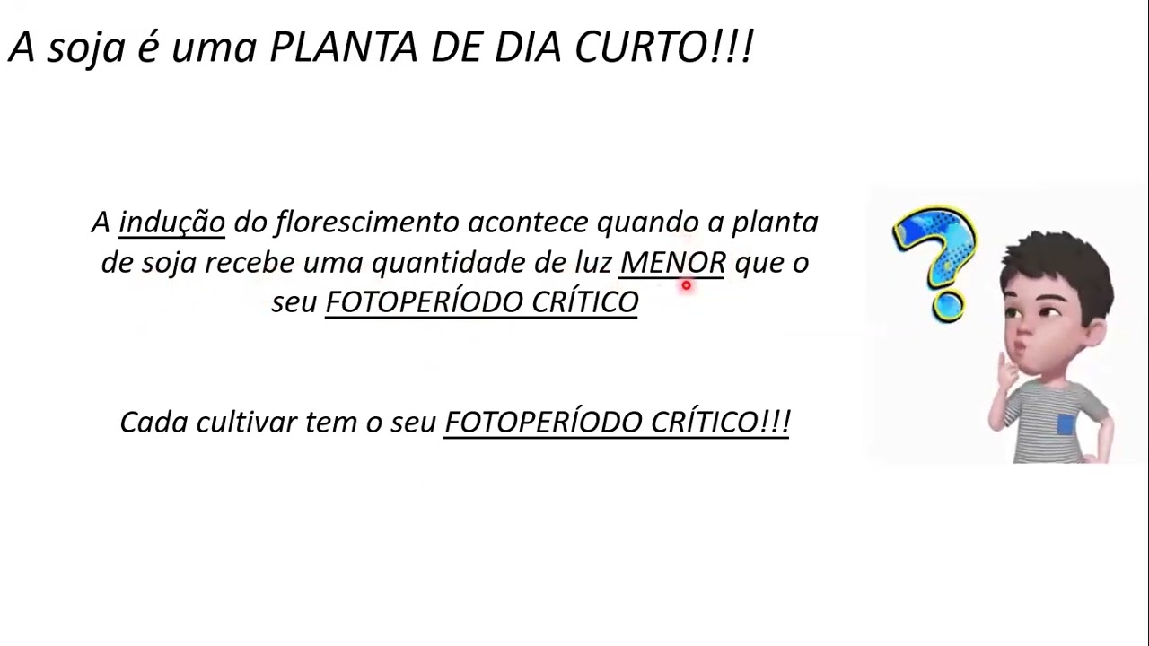 VÍDEO AULA INFLUÊNCIA DO FOTOPERÍODO EM SOJA