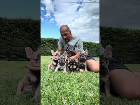 Video 2