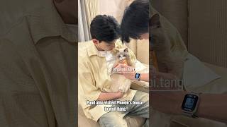 Download lagu PondPhuwin 2gether allday #pondphuwin #ppnaravit #phuwintang #pondnaravit #phuwin #weareseries#gmmtv mp3 Download lagu PondPhuwin 2gether allday #pondphuwin #ppnaravit #phuwintang #pondnaravit #phuwin #weareseries#gmmtv mp3