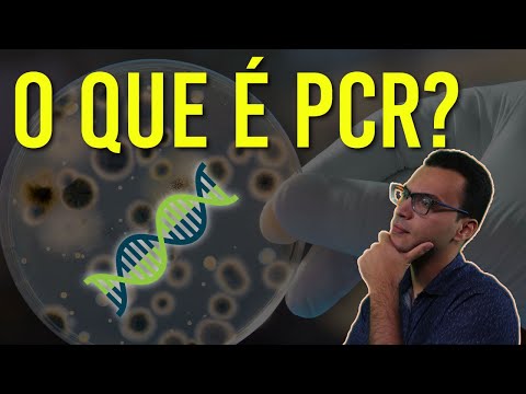Teste de PCR EXPLICADO em apenas 8 minutos