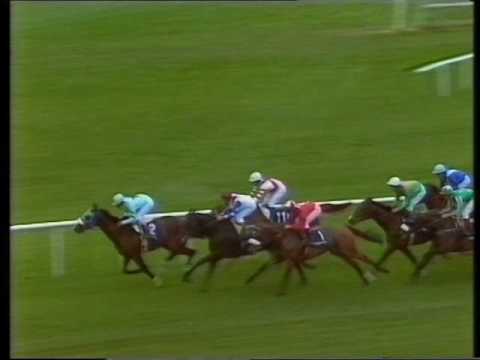 1991 Airlie/Coolmore Irish 2000 Guineas
