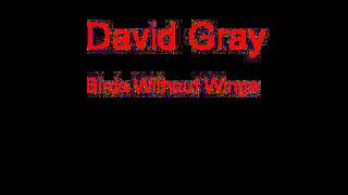 David Gray Birds Without Wings + Lyrics