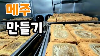 메주 만들기!30년 장 명인이 만든 메주!  실패 없는 장 담그는 꿀팁
