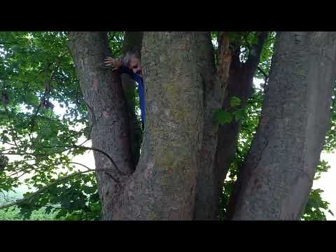 Woodingdean Balsdean Walk 25th June 2022