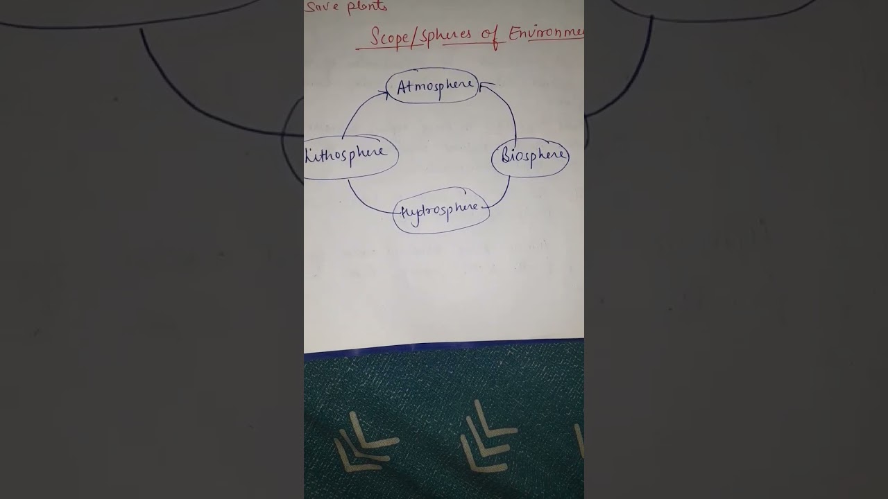 Scope Of Environment