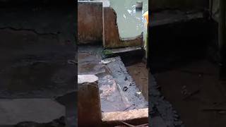 Download lagu tempat mandi yg unik peninggalan jaman dahulu dipedesaan,#petualang #pedesaan #kampung #unik #kolam mp3 Download lagu tempat mandi yg unik peninggalan jaman dahulu dipedesaan,#petualang #pedesaan #kampung #unik #kolam mp3