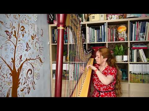 Катерина Бабочкина | Kathrin Butterfly - harp | mini live home concert 2022