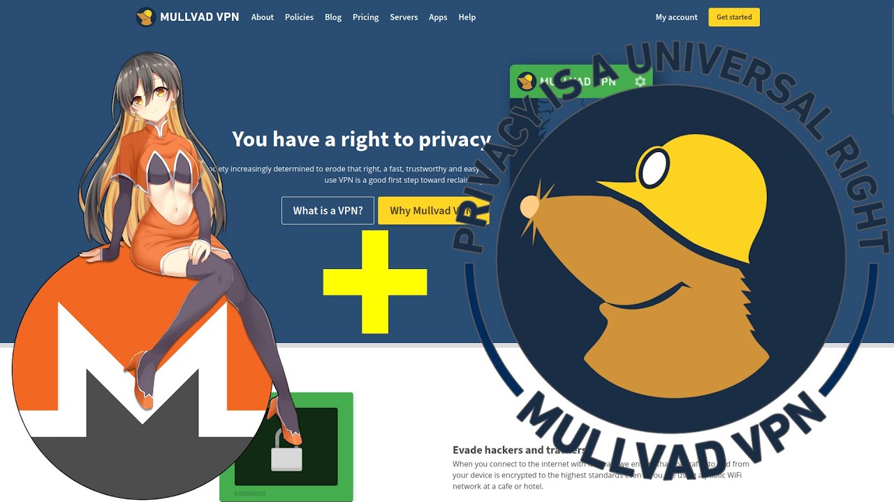 Now THIS is What a Private VPN Looks Like