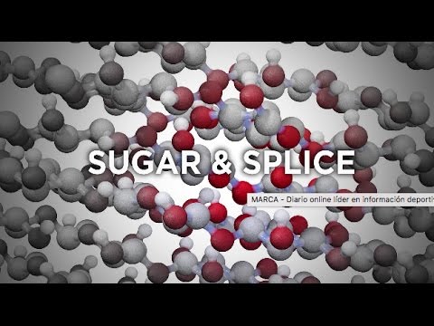 Research Tuesdays: Sugar & Splice